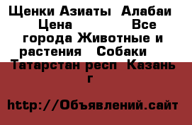Щенки Азиаты (Алабаи) › Цена ­ 20 000 - Все города Животные и растения » Собаки   . Татарстан респ.,Казань г.